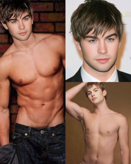 Presences of the Day